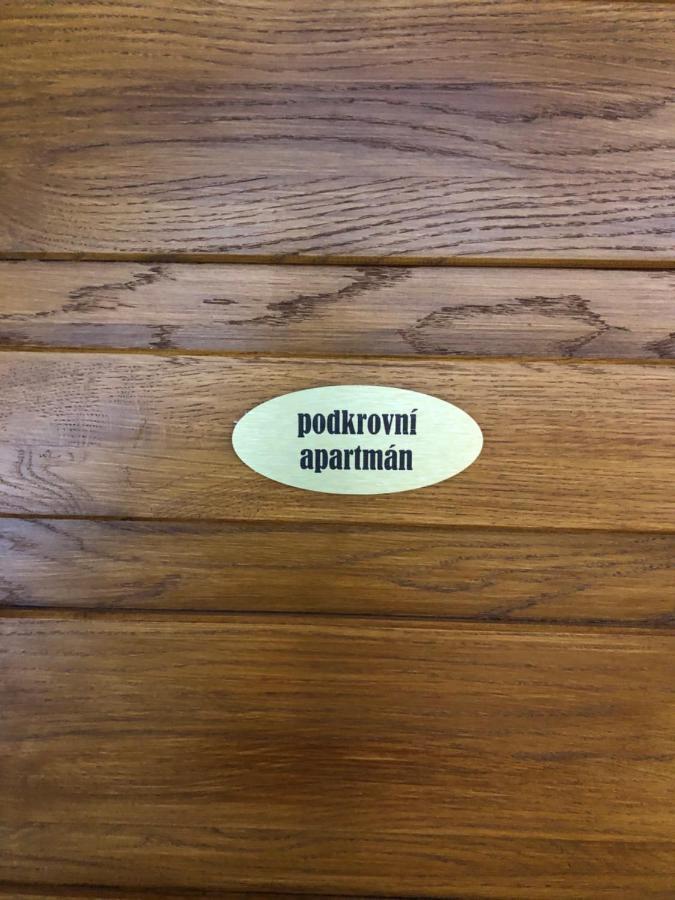 Apartmany U Vleku - Podkrovni Apartman Karlova Studanka Luaran gambar